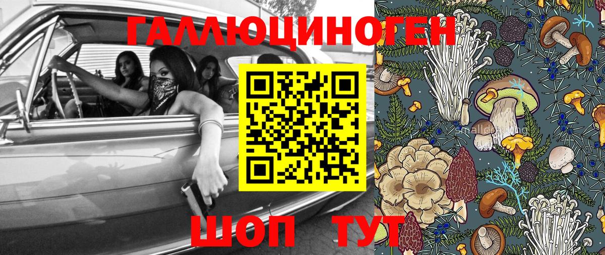 Шали  Псилоцибиновые грибы Psilocybe  Вход с VPN 