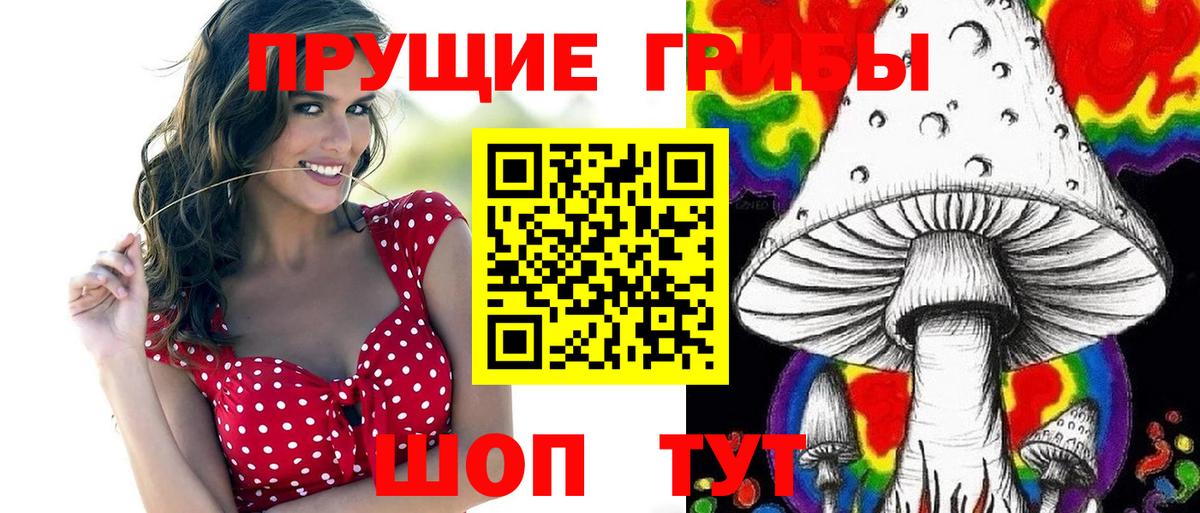 Псилоцибиновые грибы мицелий Шали